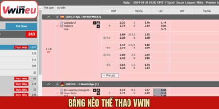 Bảng Kèo Thể Thao Vwin - Cung Cấp Thông Tin Đầy Đủ Và Chuẩn Xác
