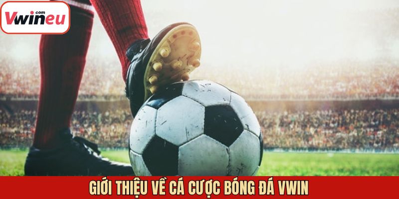 Khám phá về cá cược bóng đá Vwin