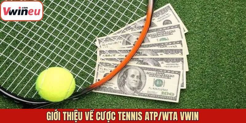 Giới thiệu sơ lược về 2 giải đấu tennis ATP/WTA