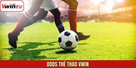 Odds Thể Thao Vwin - Hướng Dẫn Cách Đọc Chuẩn Cho Hội Viên