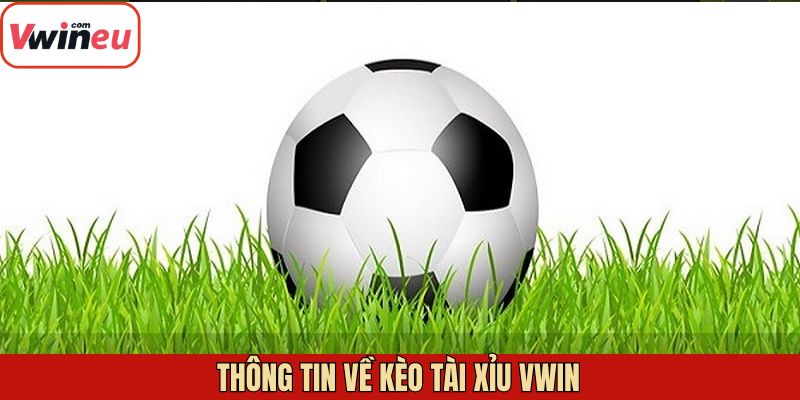 Sơ lược về loại kèo tài xỉu Vwin