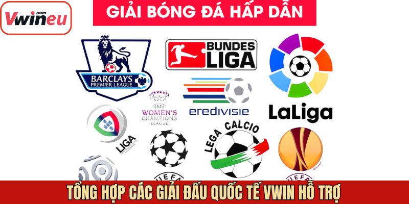 Các giải đấu bóng đá nổi bật Vwin hỗ trợ